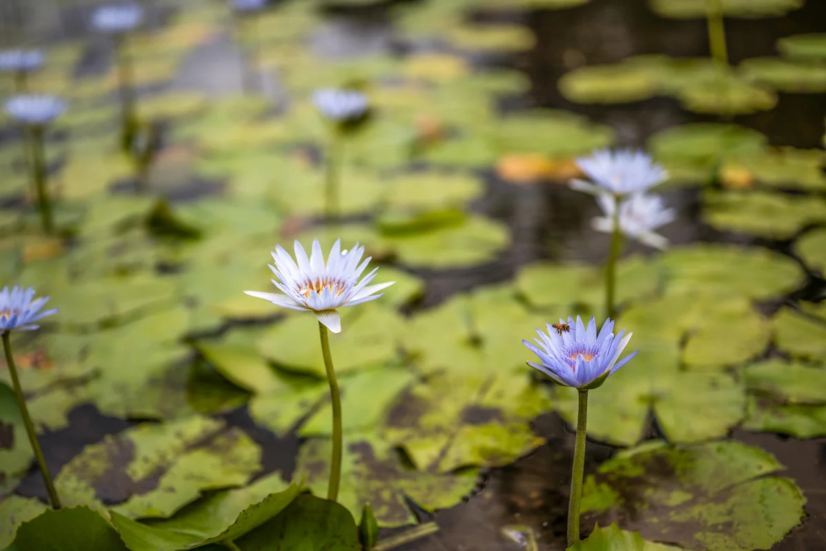 Additional image 4 of Tomerong NSW 2540