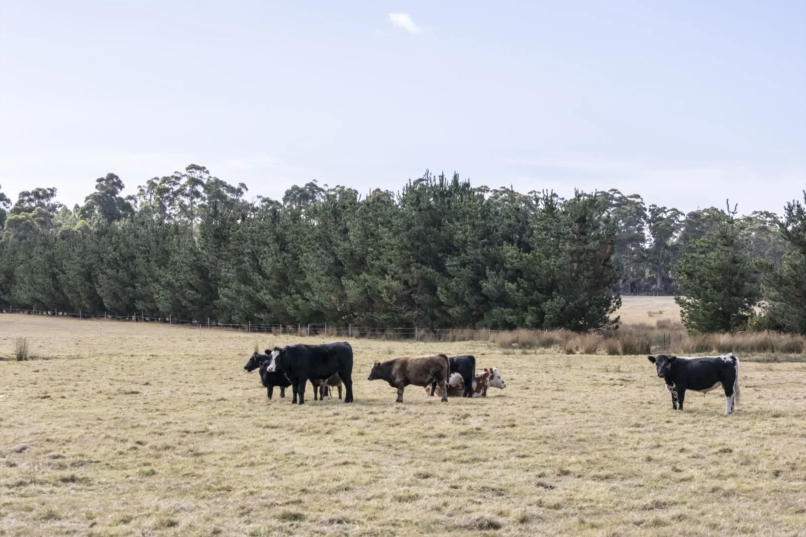 Additional image 30 of 5456 Bridport Road, Pipers River TAS 7252