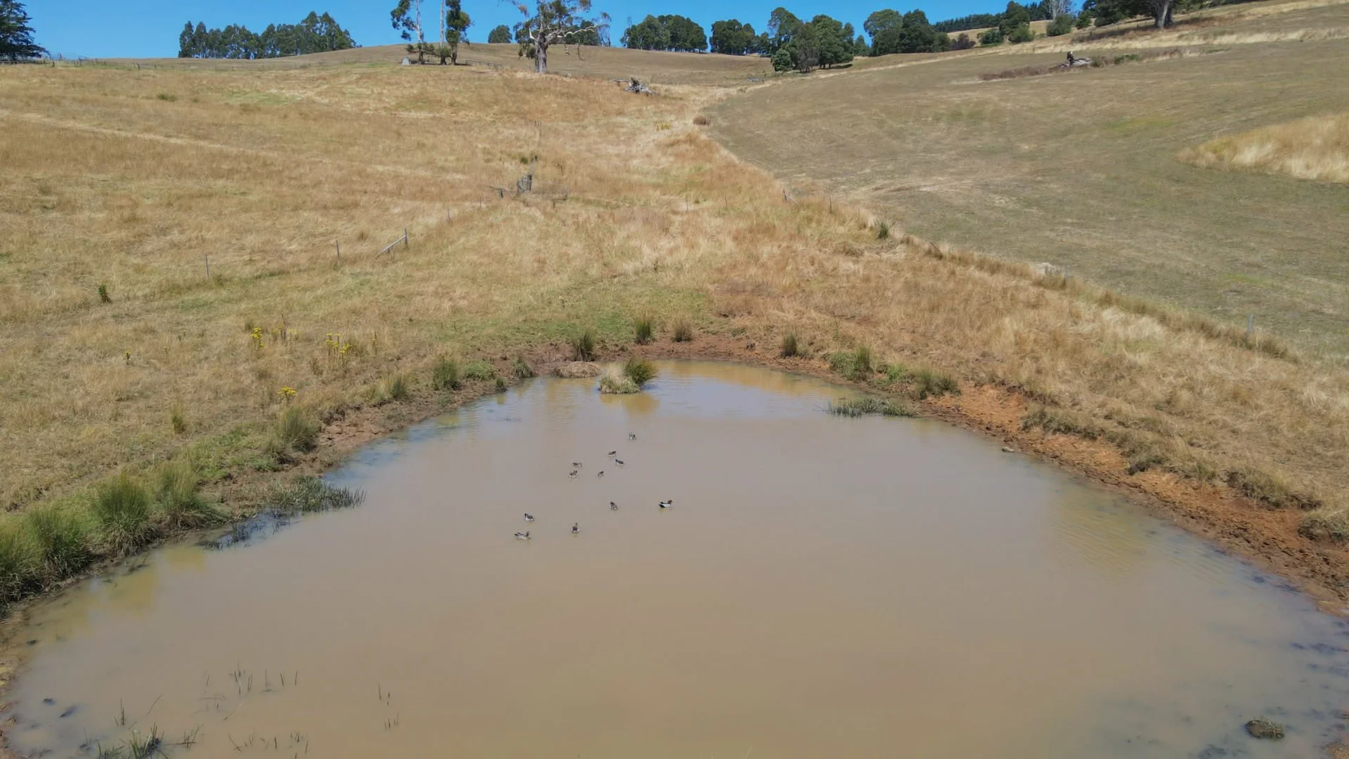 Additional image 26 of 265 Foster Road, Boolarra South VIC 3870