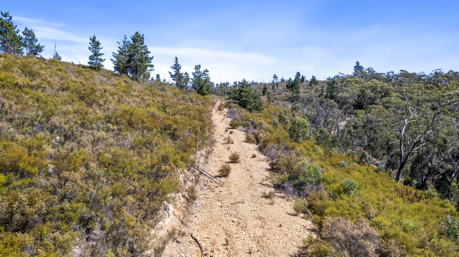 Additional image 13 of 267 New Olivers Road, Running Stream NSW 2850