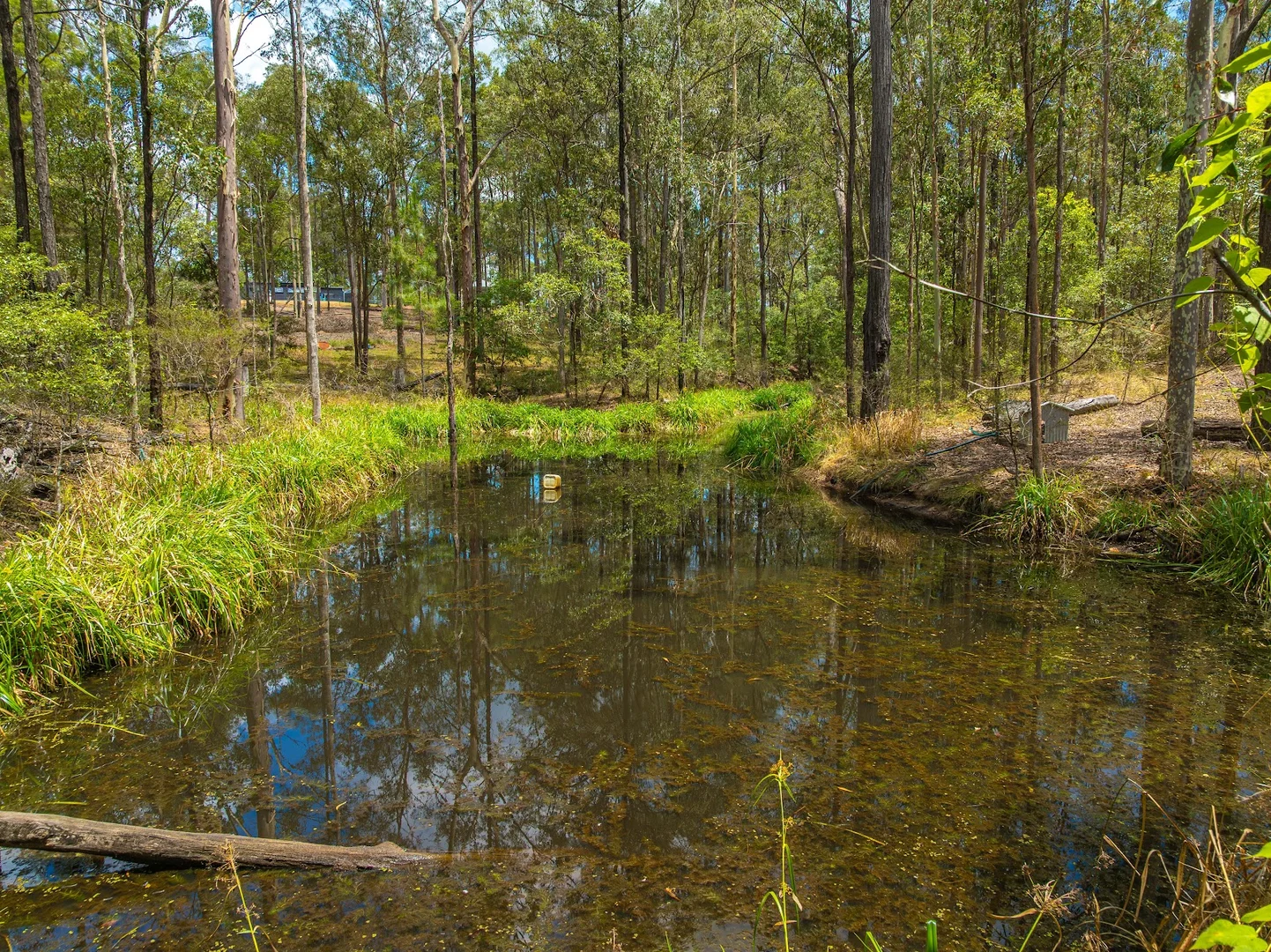 Additional image 20 of 422 Arborten Road, Glenwood QLD 4570