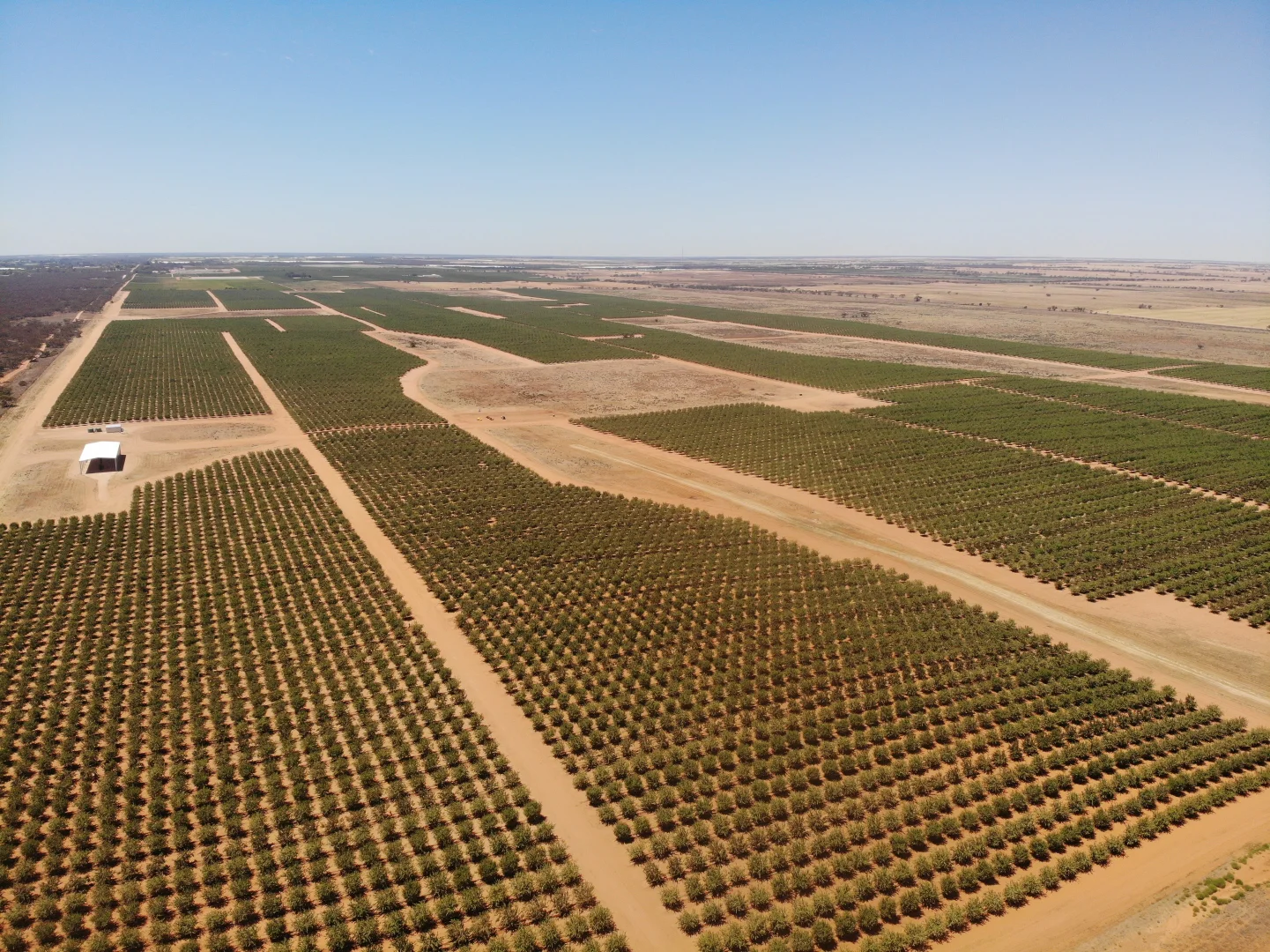 Additional image 7 of 971 Wilga Road, Red Cliffs VIC 3496