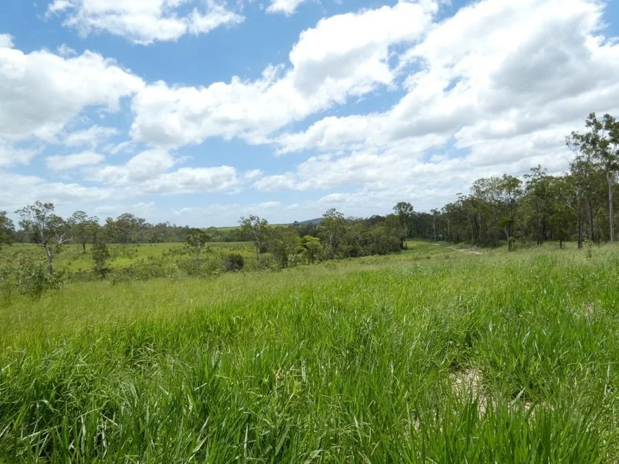 Additional image 22 of Lot 43 Moolyung Road, Waterloo QLD 4673