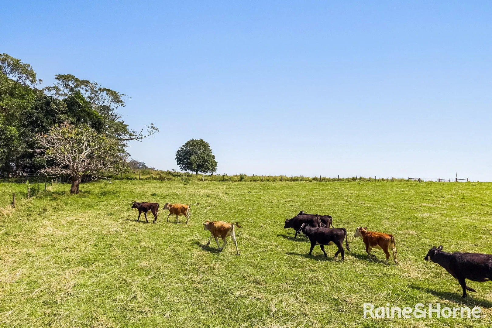 Additional image 6 of 425 Spring Grove Road, Spring Grove NSW 2470