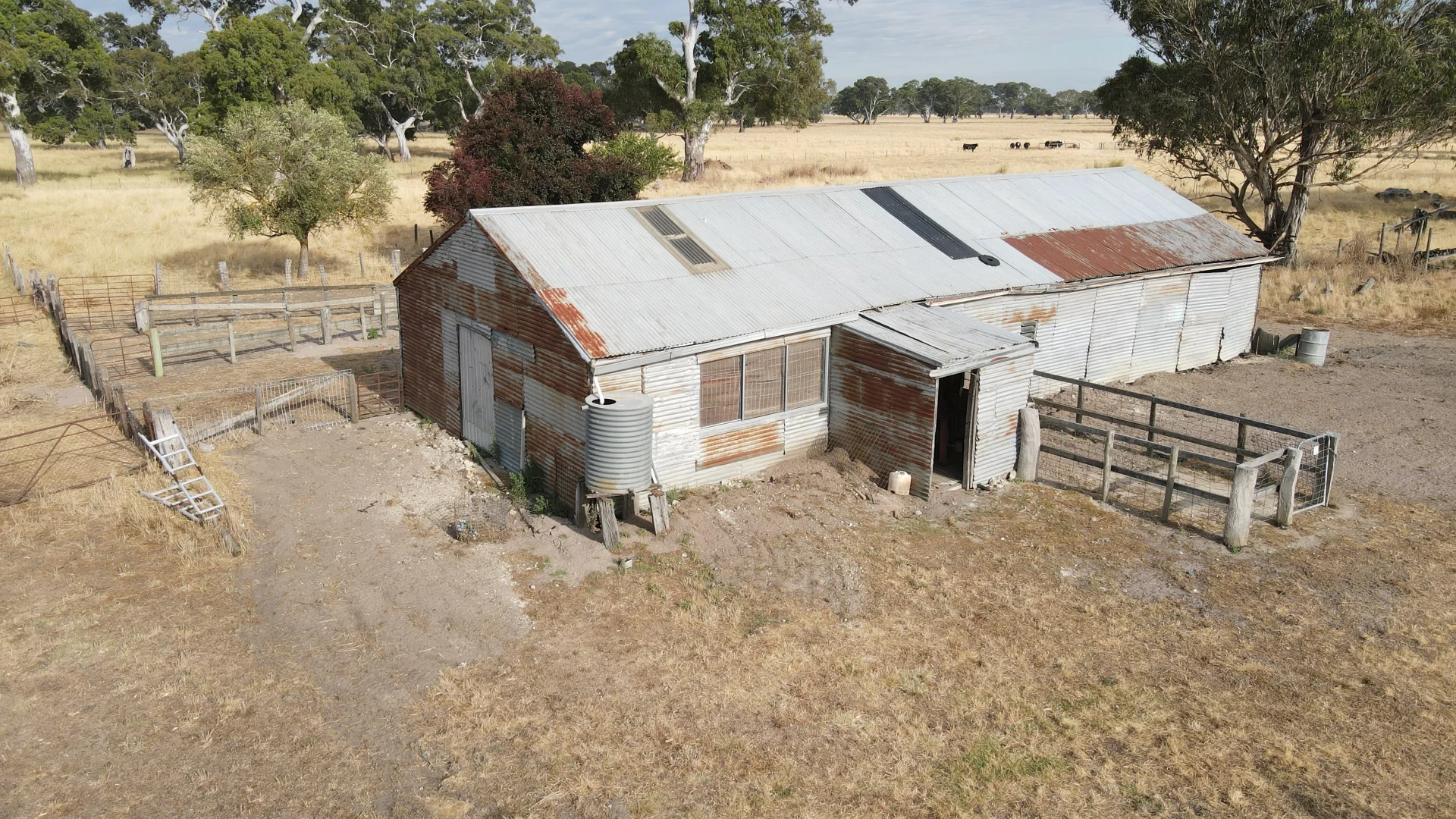 Additional image 10 of 110 Coote Rd, Moerlong SA 5278