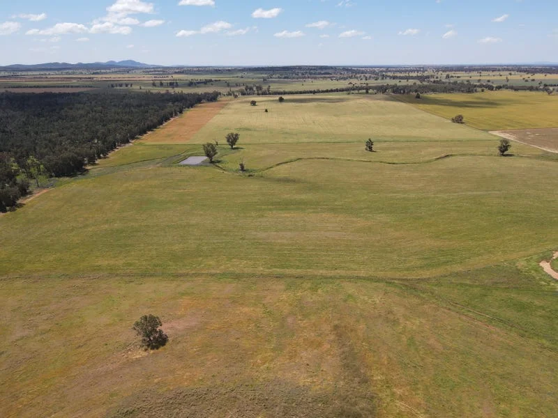 Additional image 12 of 893 Deaths Lane, Pullabooka NSW 2810