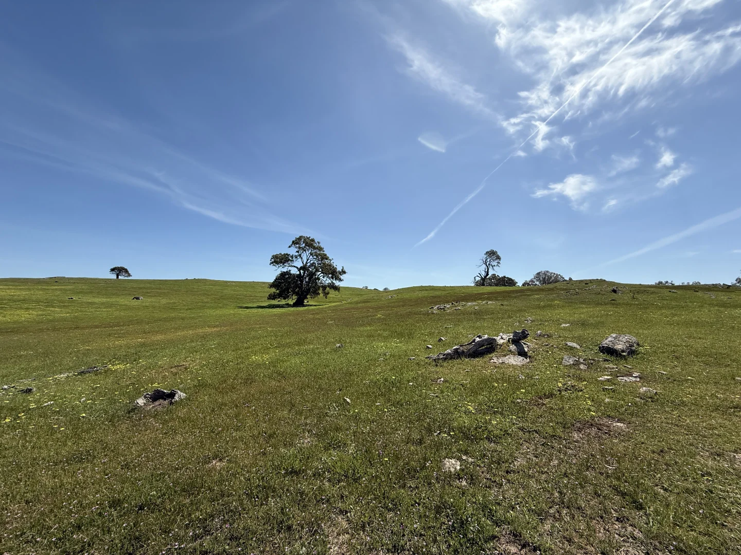 Additional image 10 of Lot 115 Mcgormans Road, Tungkillo SA 5236