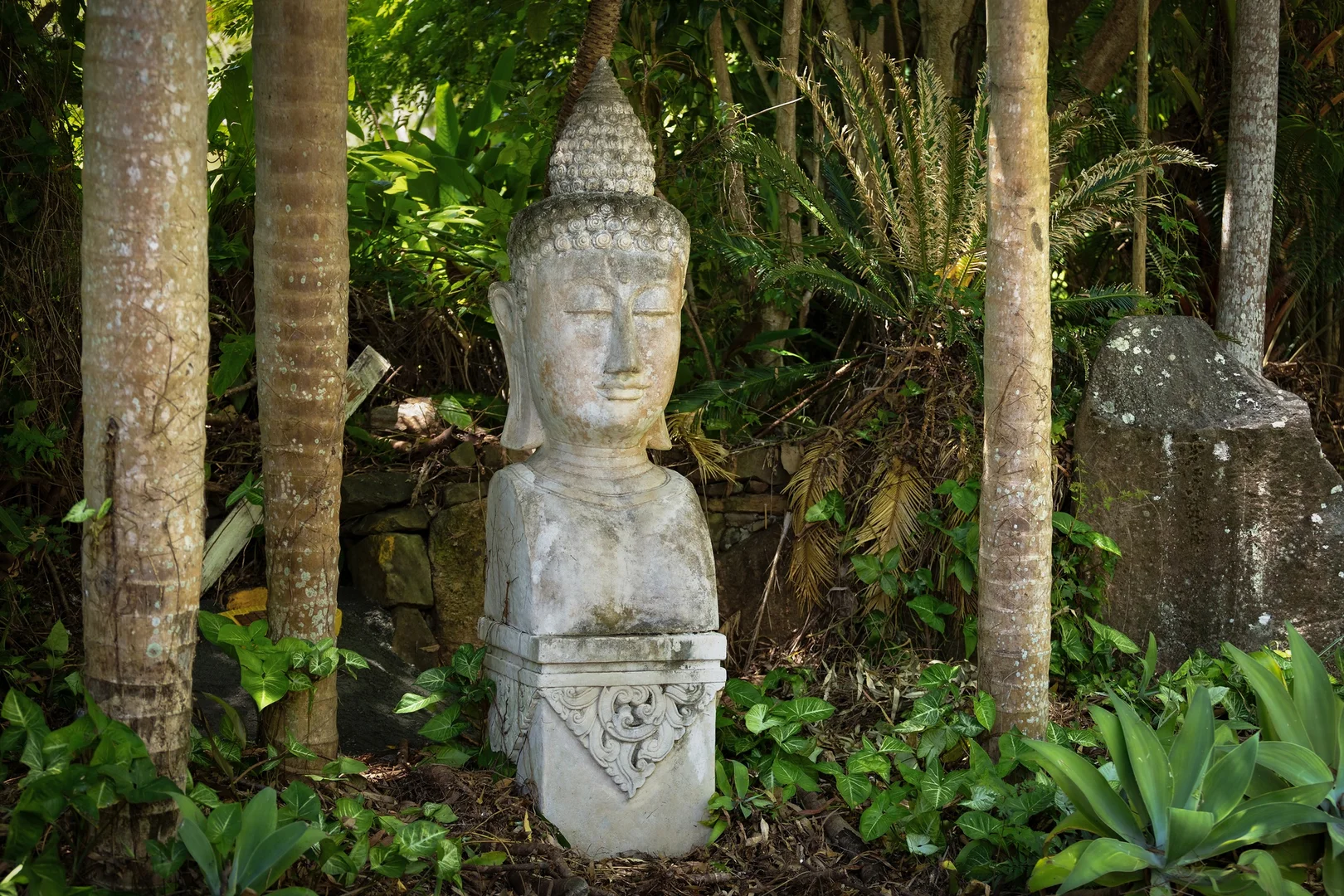 Additional image 32 of 10 Angus Place, Ewingsdale NSW 2481