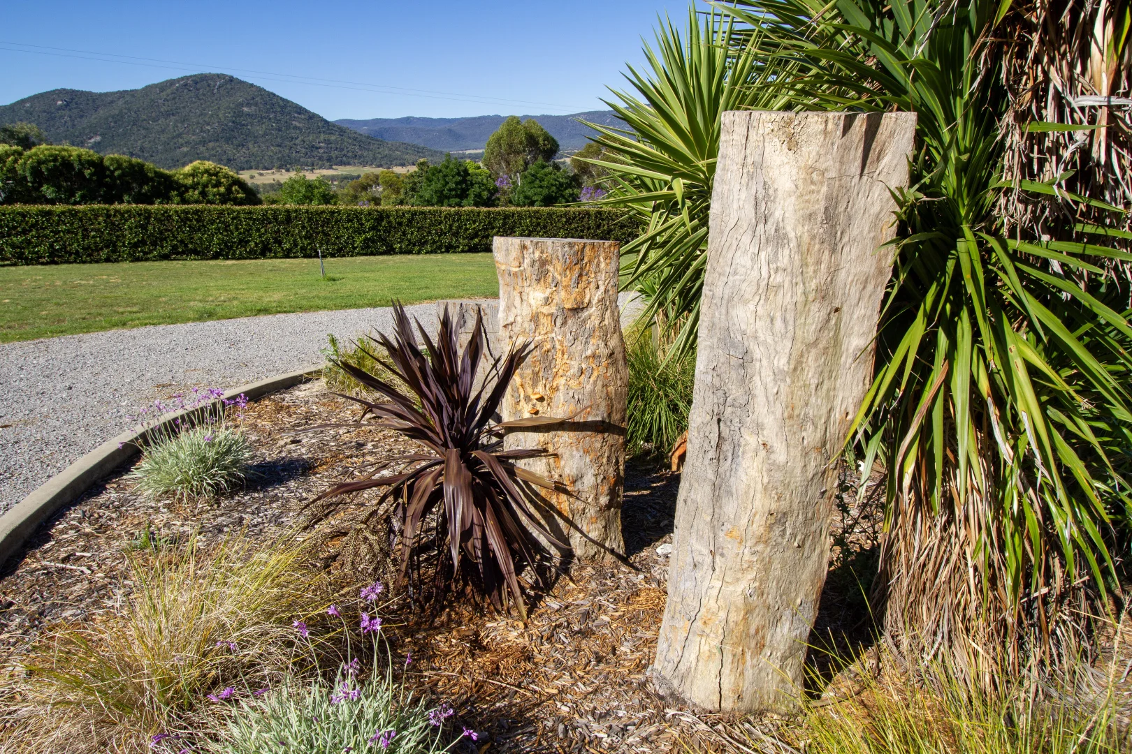 Additional image 29 of 51 Leehy Court, Tamworth NSW 2340