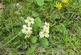 Additional image 19 of Headland Road, Carbis Bay, St. Ives, Cornwall, TR26