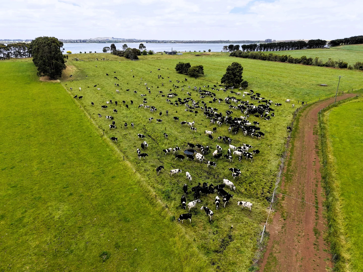 Additional image 4 of 401 Purrumbete Estate Road, Koallah VIC 3260