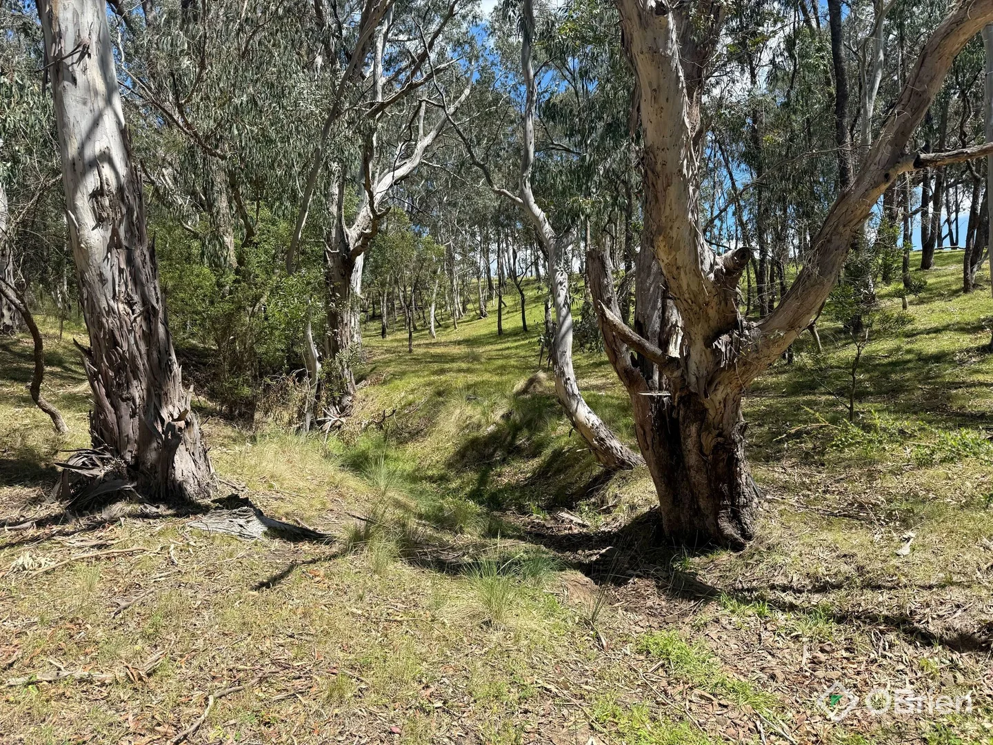 Additional image 24 of 8154 Dargo Road, Dargo VIC 3862