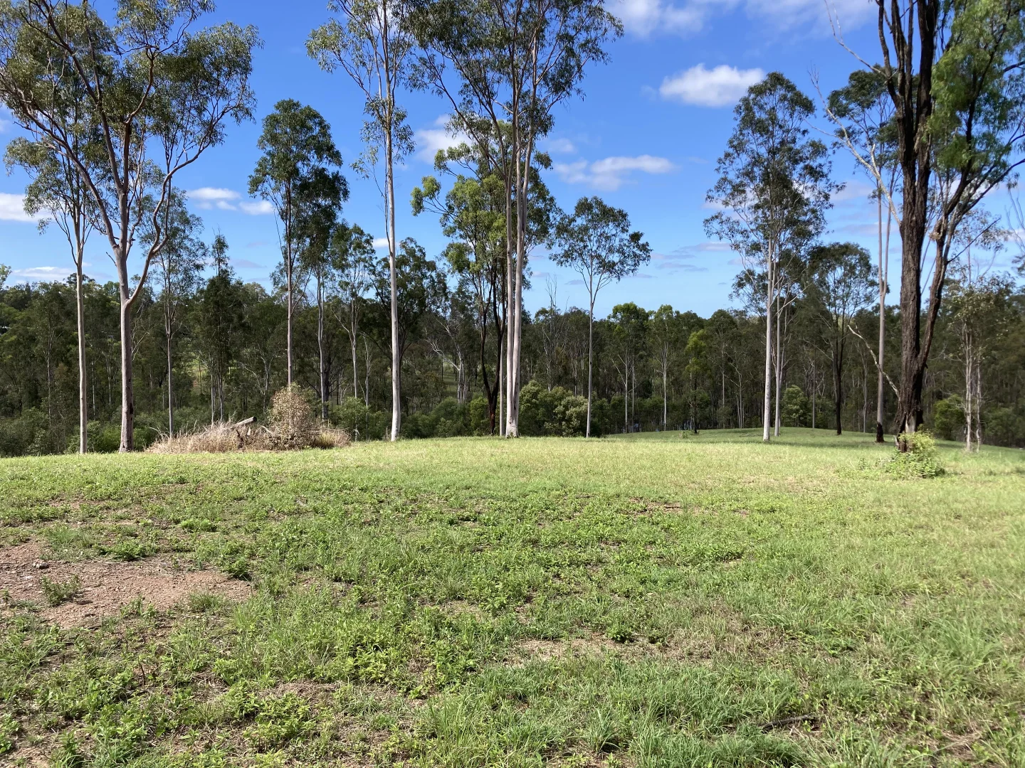 Additional image 33 of 209 Mcintyres Road, Damascus QLD 4671