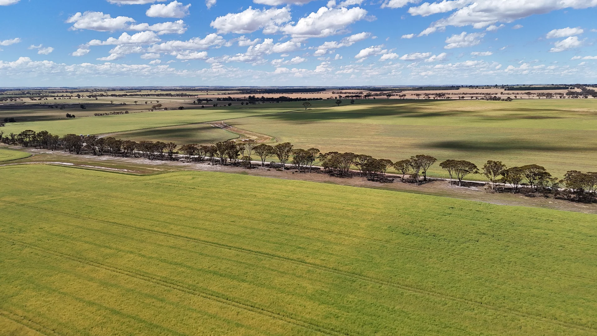 Additional image 5 of Kolonga Downs 175 McAuliffe Road, Katanning WA 6317