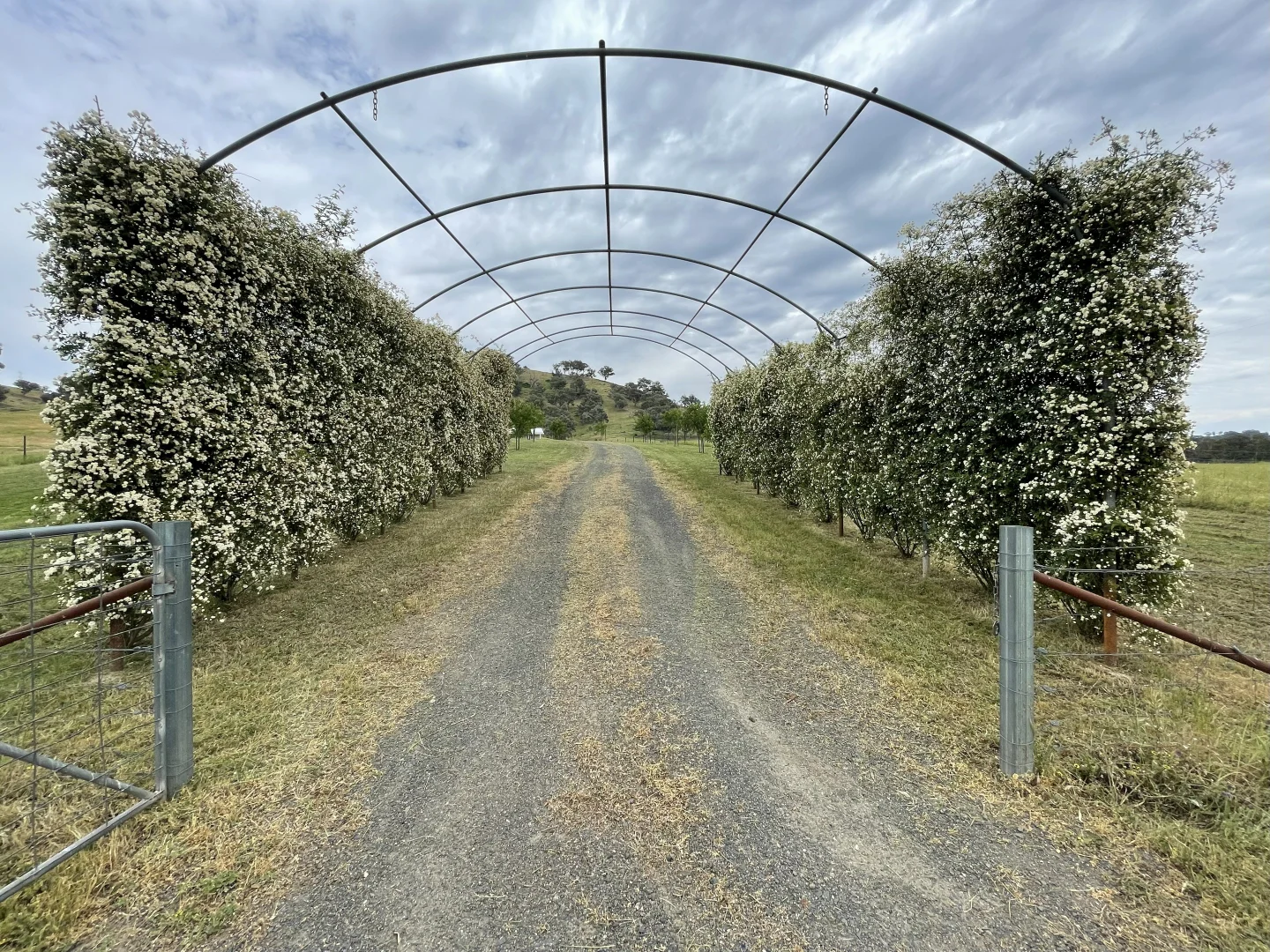 Additional image 11 of 79 Five Mile Creek Road, Gundagai NSW 2722