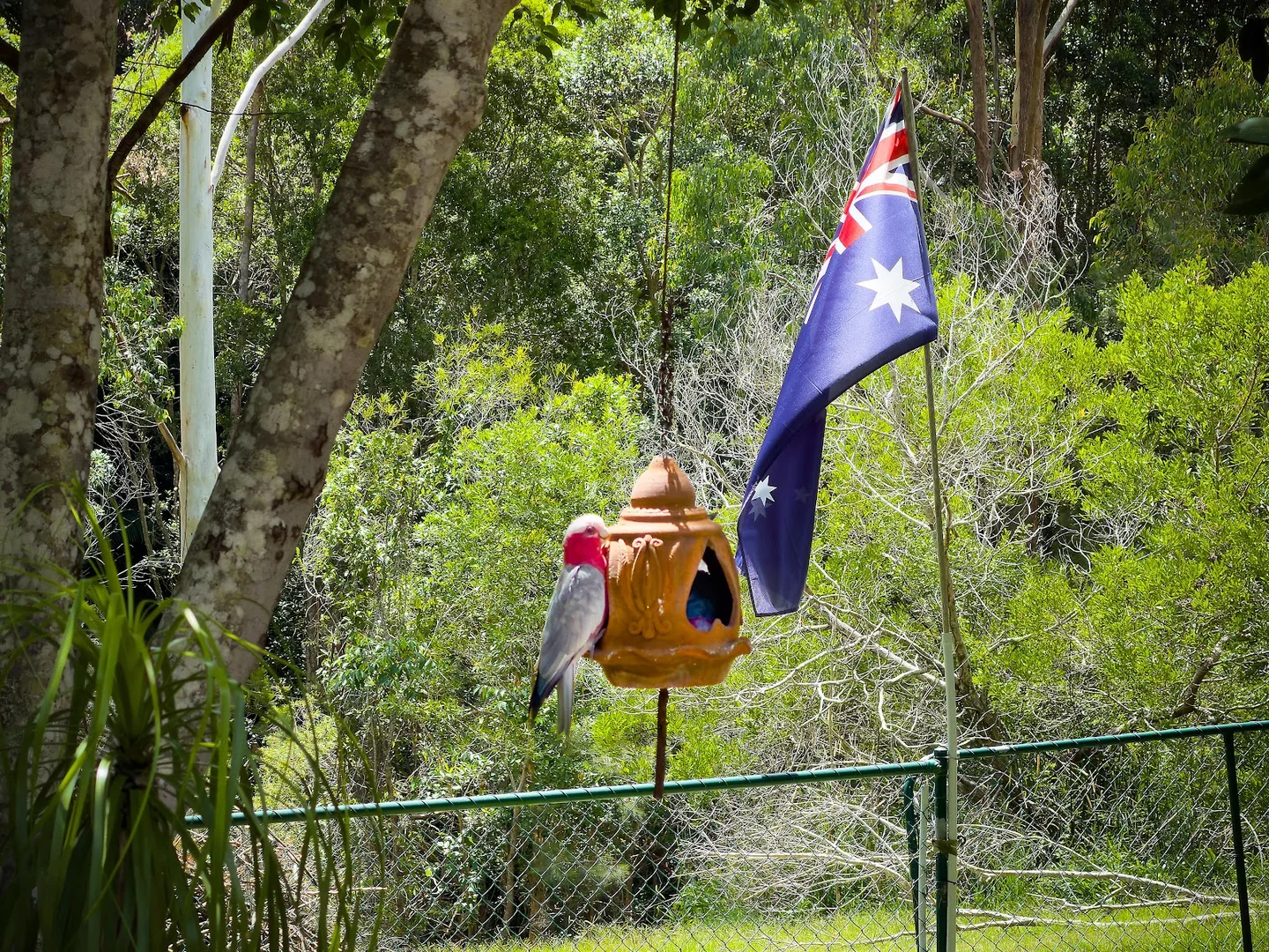 Additional image 8 of 5 Tanby Court, Mudgeeraba QLD 4213