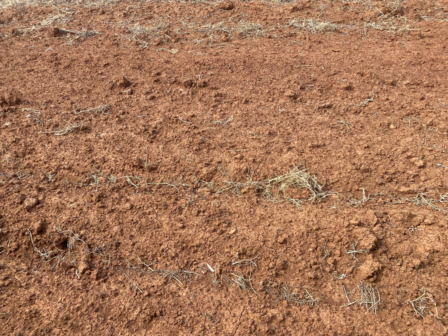 Additional image 4 of - Henty Highway, Hopetoun VIC 3396