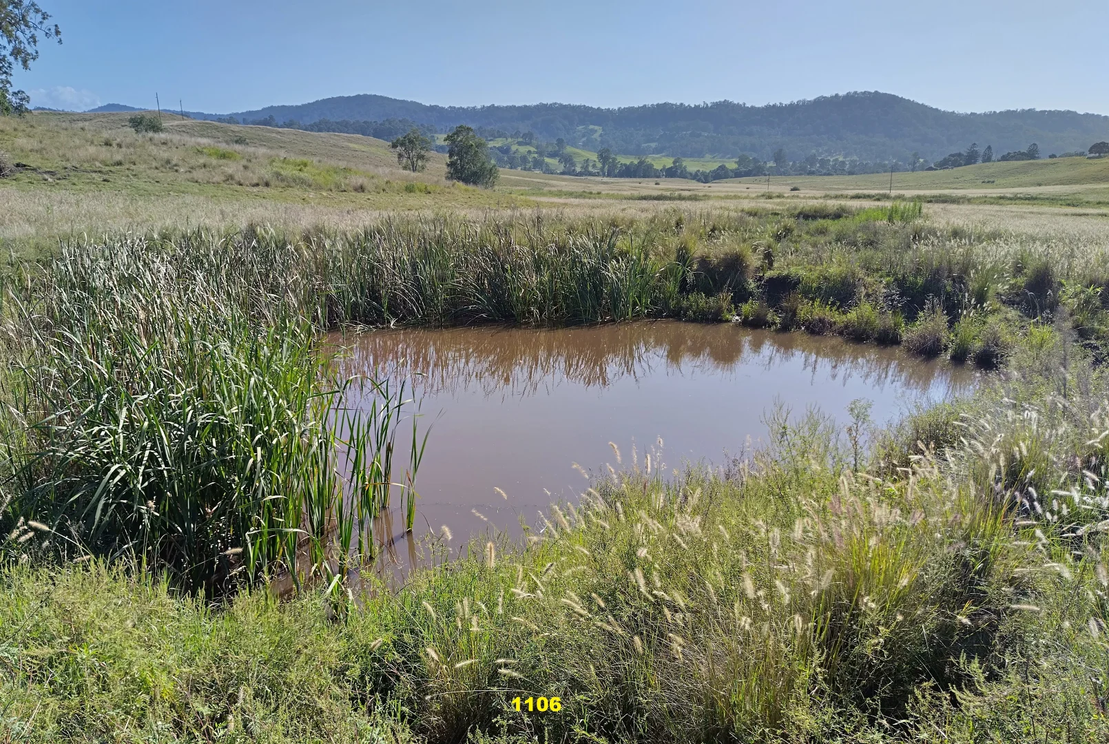 Additional image 26 of 1106 Naughtons Gap Road, Bentley NSW 2480