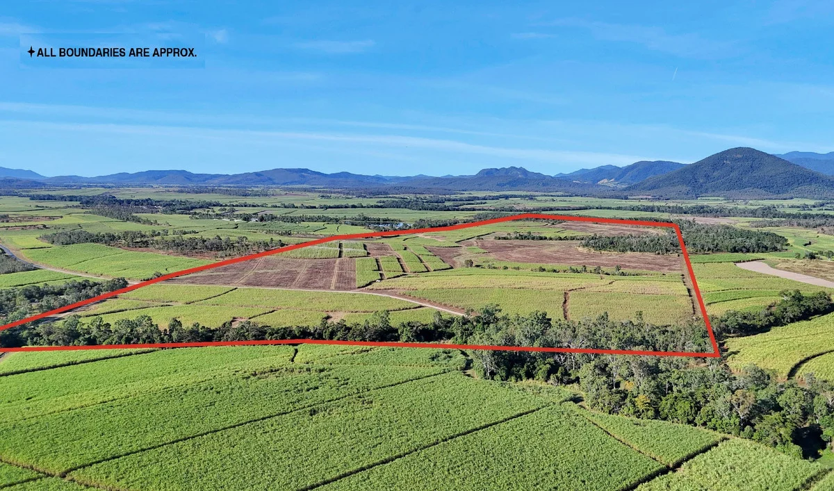Additional image 7 of Lot 21, 241 Wintons Road, Yalboroo QLD 4741