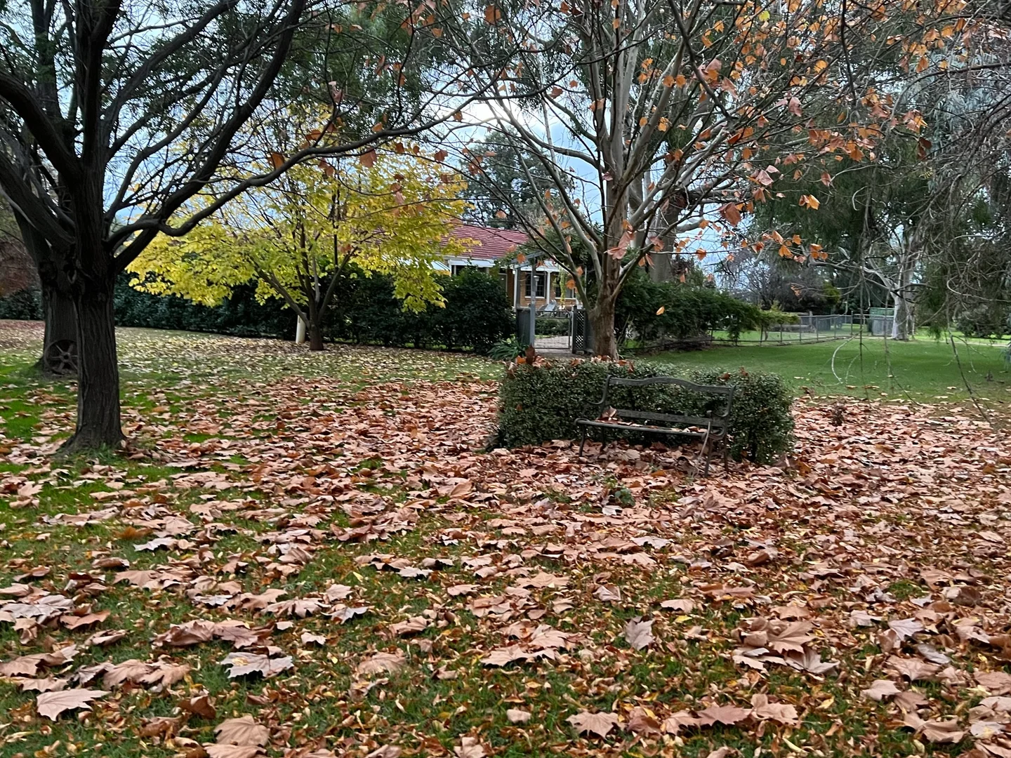 Additional image 8 of Gooloogong NSW 2805