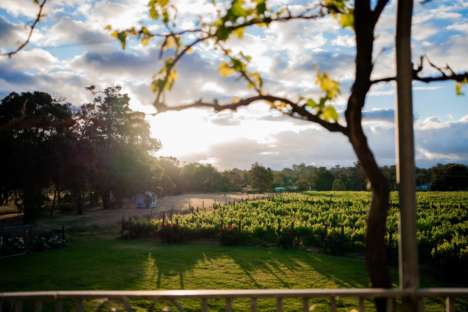 Additional image 9 of 118 Mallokup Road, Capel WA 6271