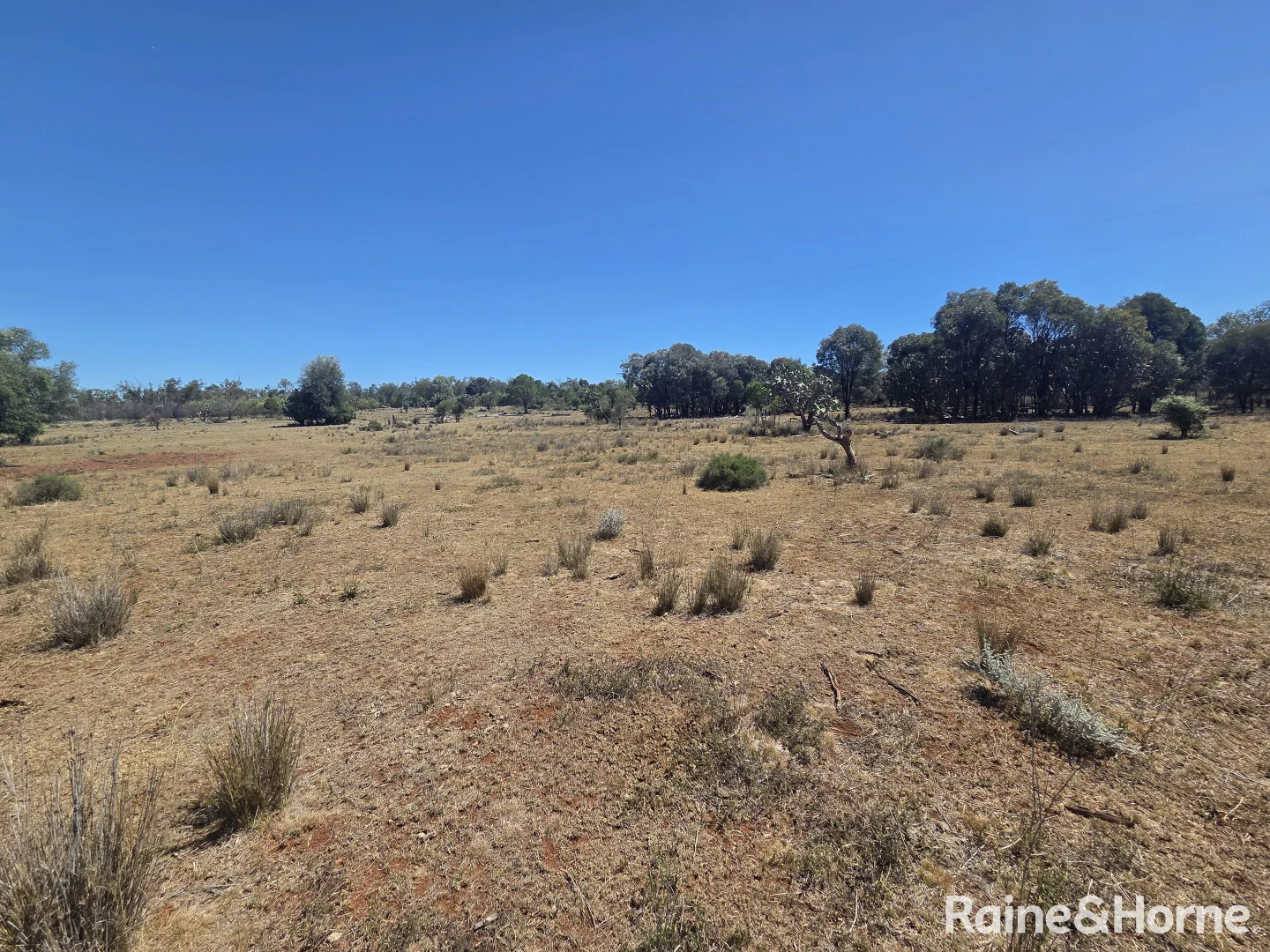 Additional image 33 of 647 Sweedmans Road, Limevale QLD 4384