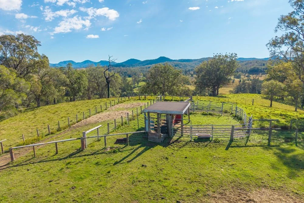 Additional image 21 of Lot 3 of 449 Hickeys Creek Road, Millbank NSW 2440