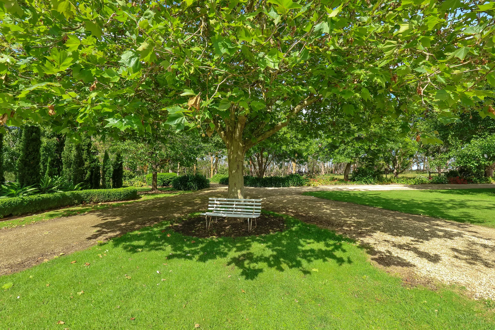 Additional image 28 of 335 Rollos Road, Panmure VIC 3265