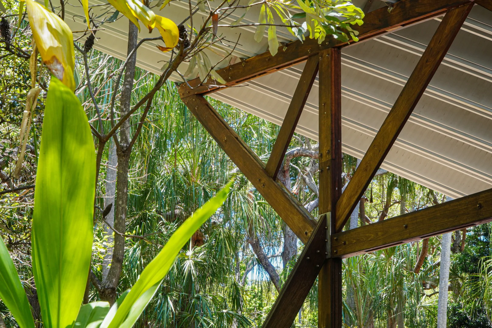 Additional image 10 of 35 Bloodwood Avenue, Agnes Water QLD 4677