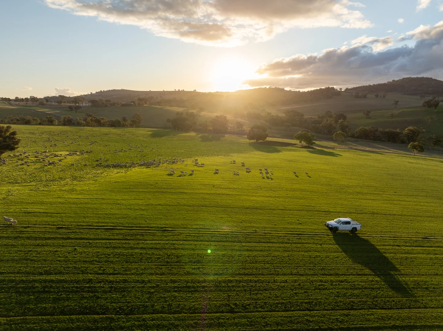 Additional image 9 of 1507 Pine Mount Road, Woodstock NSW 2793