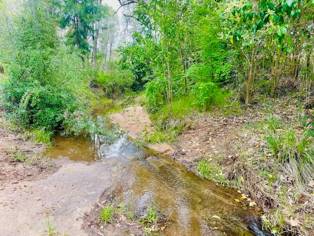 Additional image 23 of 40 Koala Crescent, Coonabarabran NSW 2357