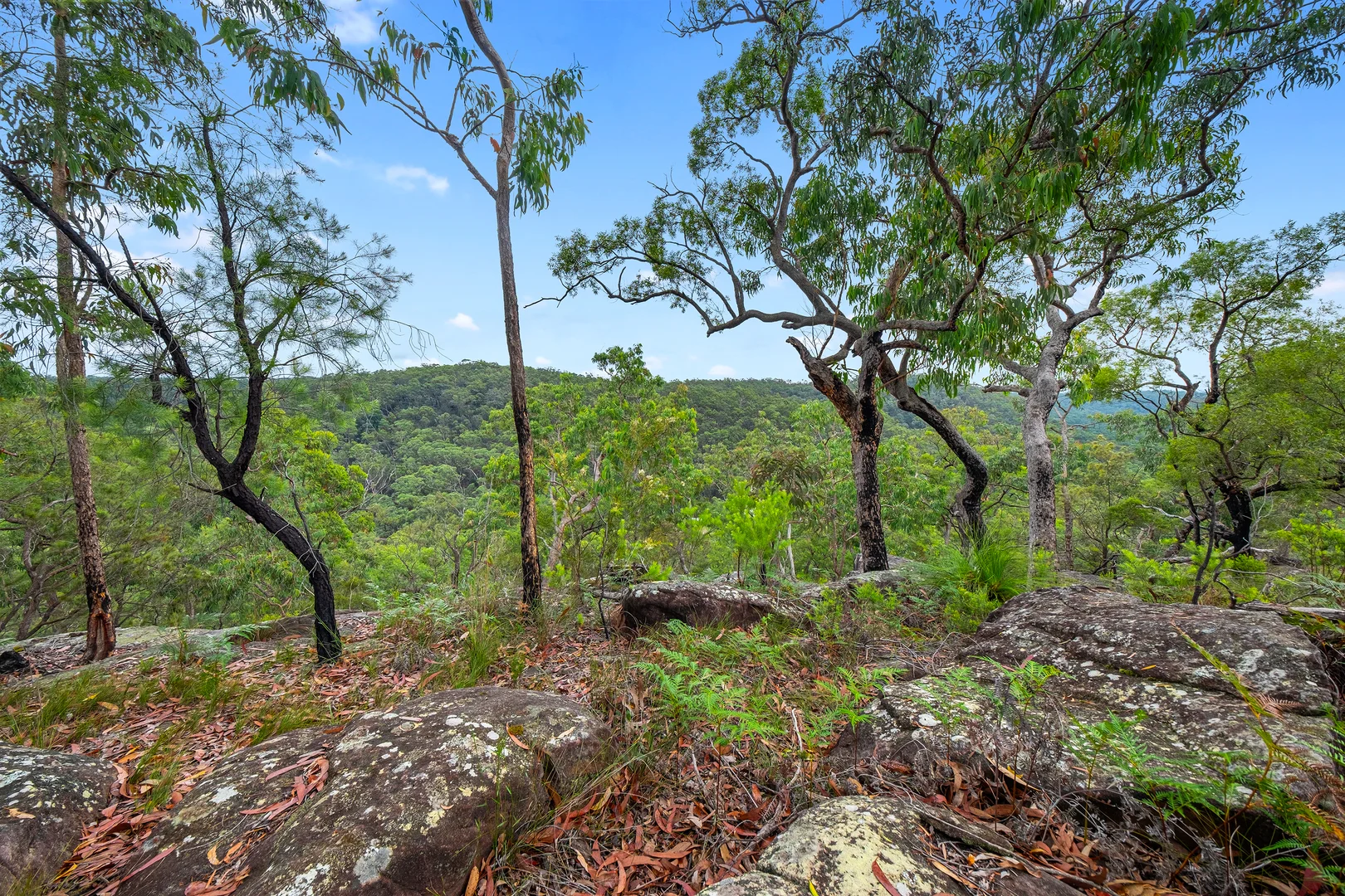 Additional image 10 of 173 Gallaghers Road, South Maroota NSW 2756