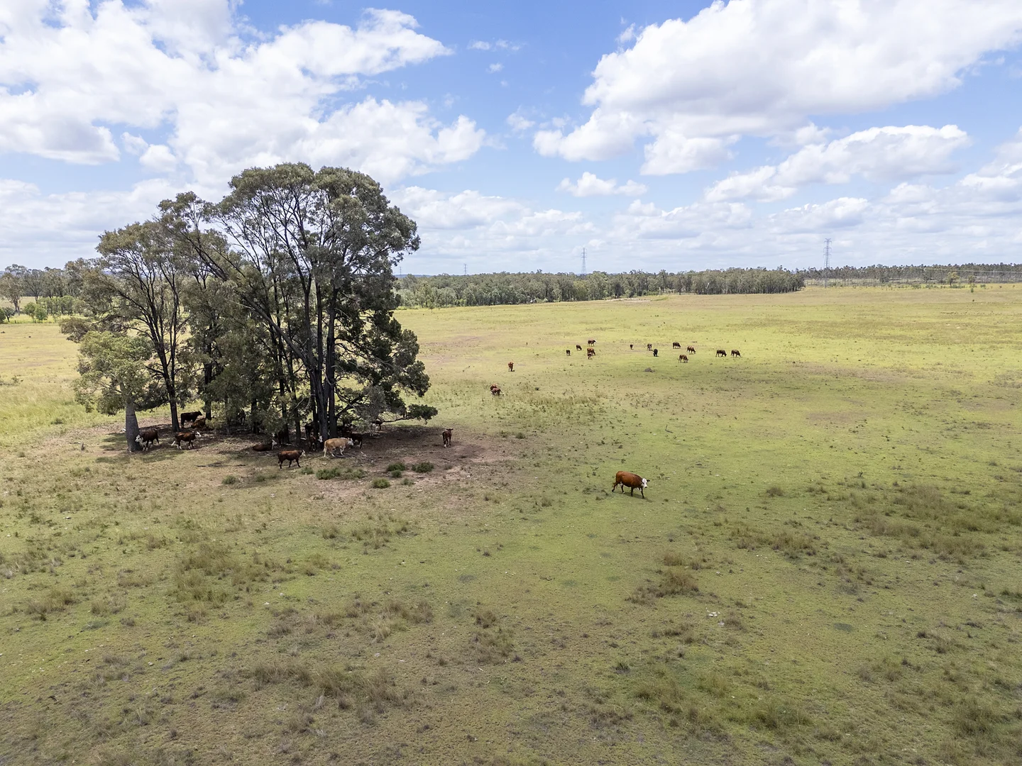 Additional image 13 of 8619 Mundubbera Durong Road, Boondooma QLD 4613