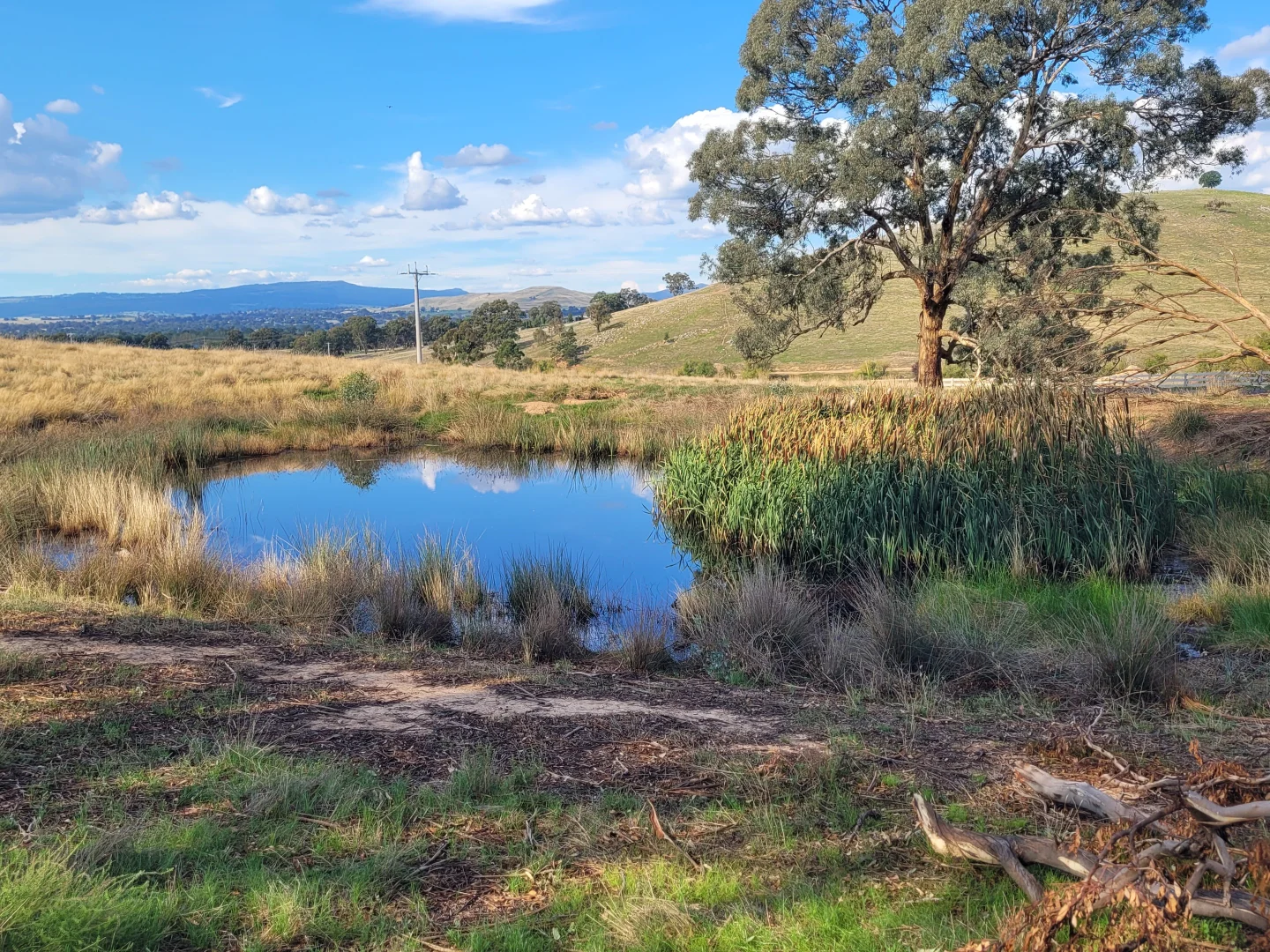 Additional image 2 of 84 Owens Creek Drive, Mansfield VIC 3722