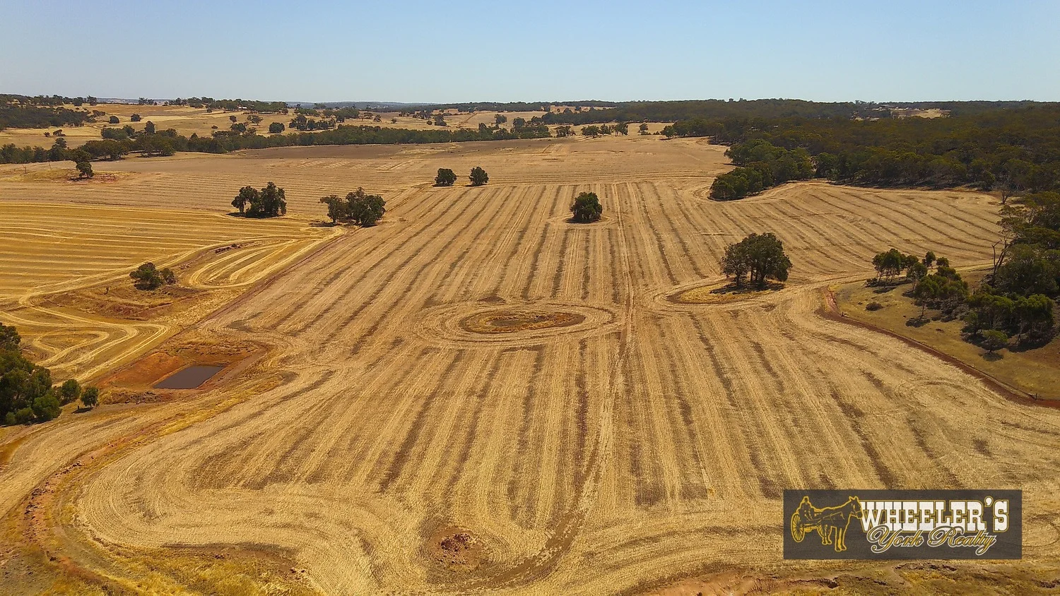 Additional image 5 of York WA 6302