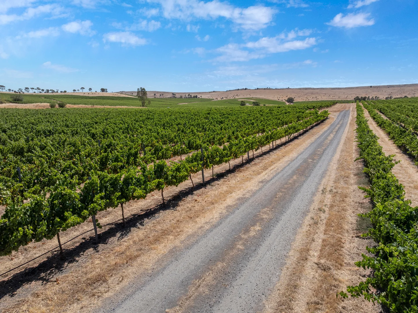 Additional image 34 of Lot 20 Spring Farm Road, Spring Farm SA 5453