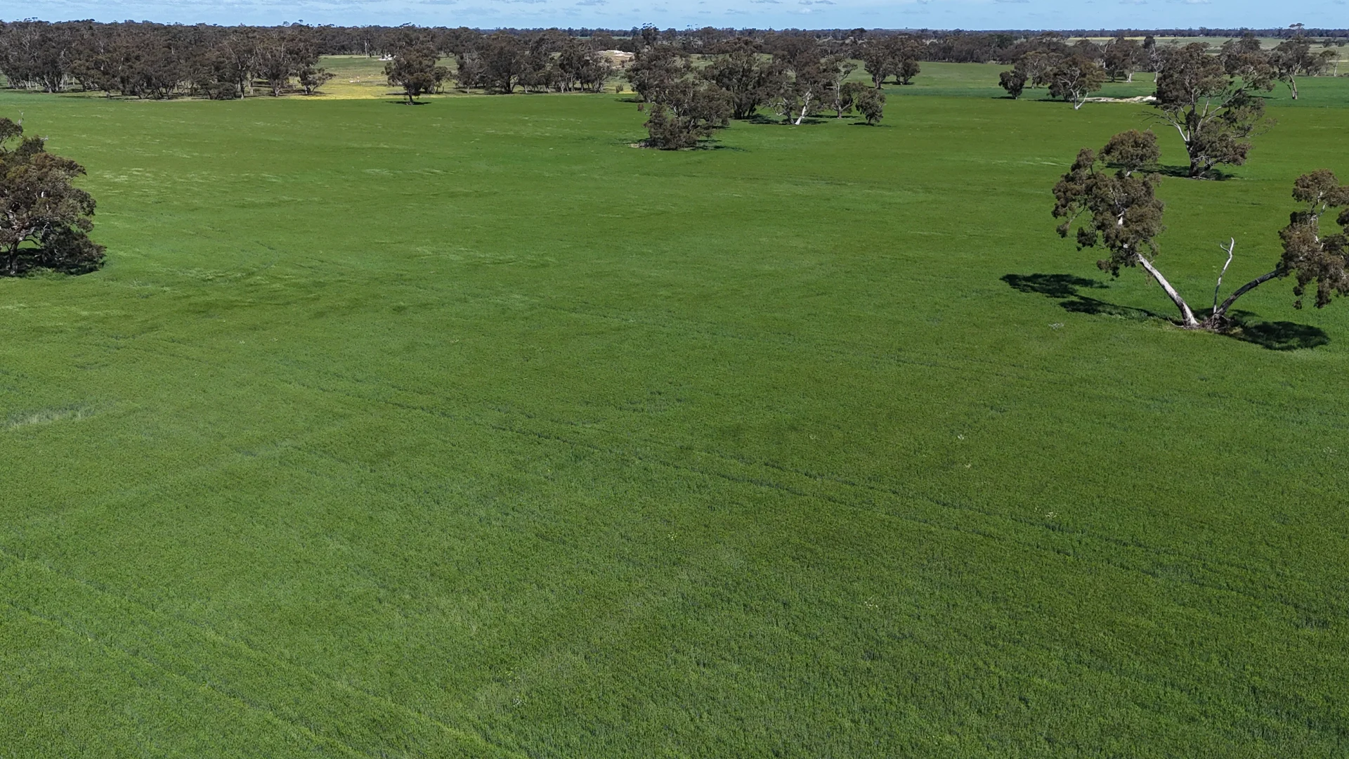 Additional image 7 of 1878 Cannawigara Road, Bordertown SA 5268