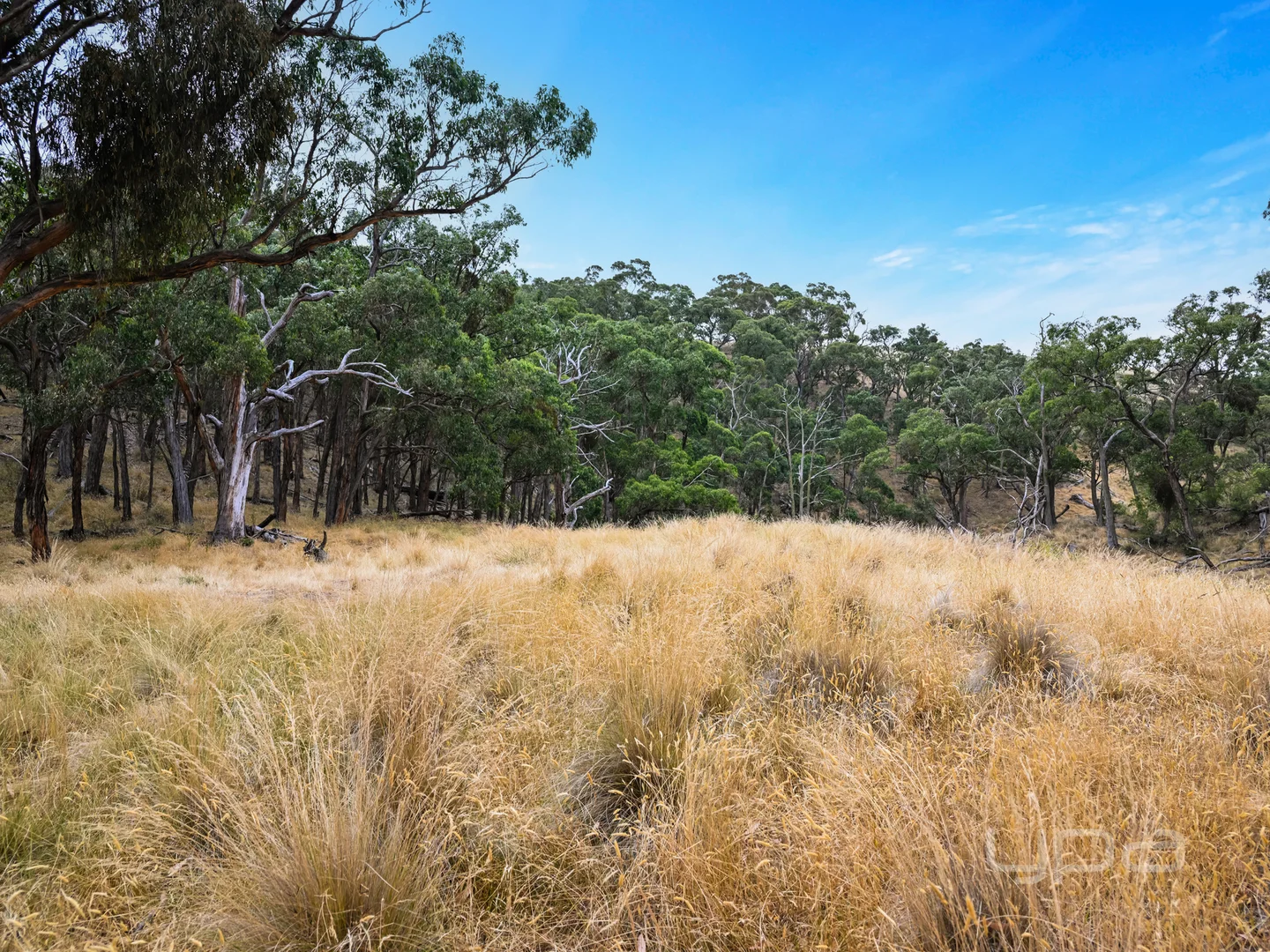 Additional image 32 of 231 Gisborne - Melton Road, Toolern Vale VIC 3337