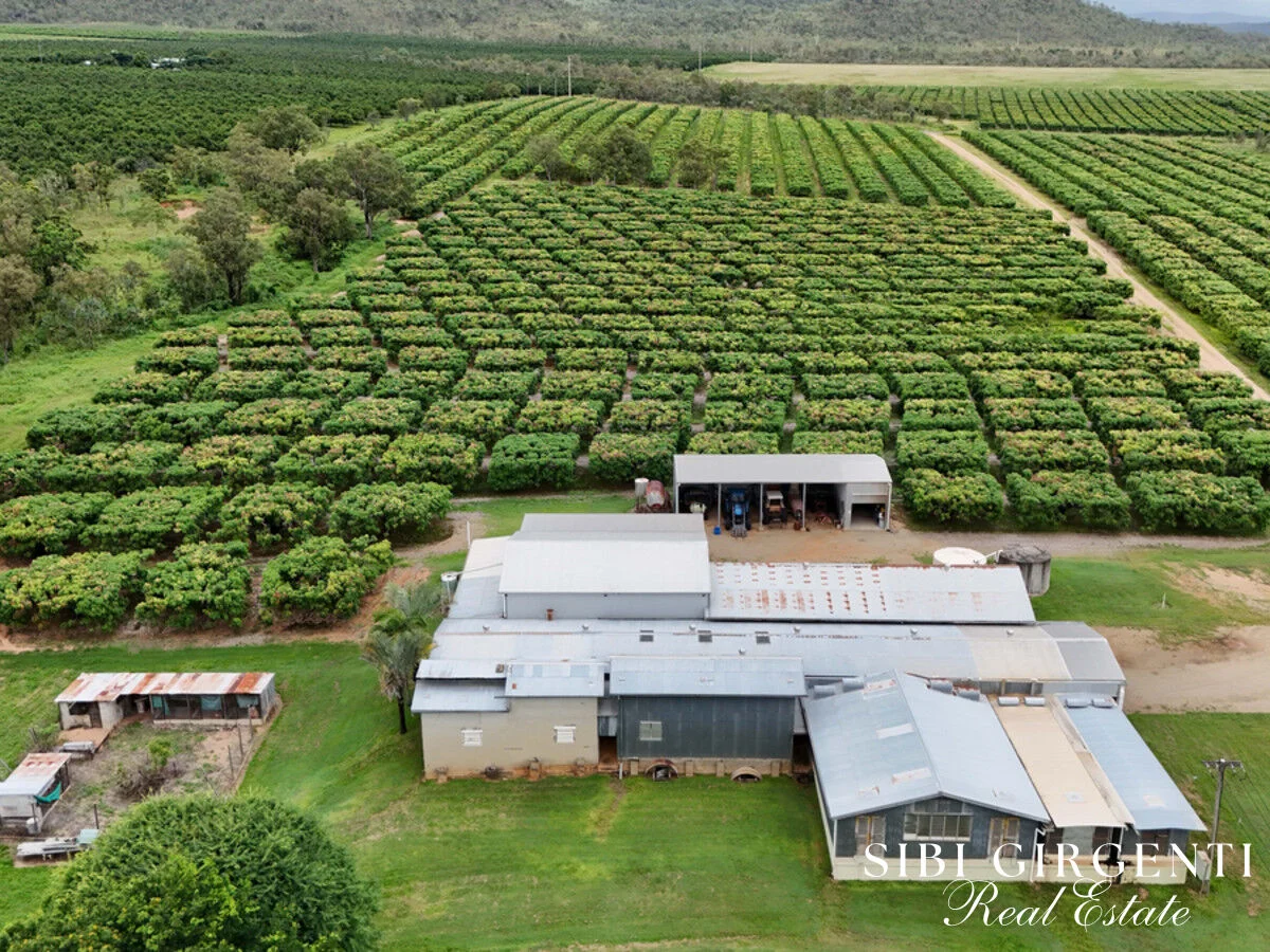 Additional image 34 of 227 Top Eureka, Dimbulah QLD 4872