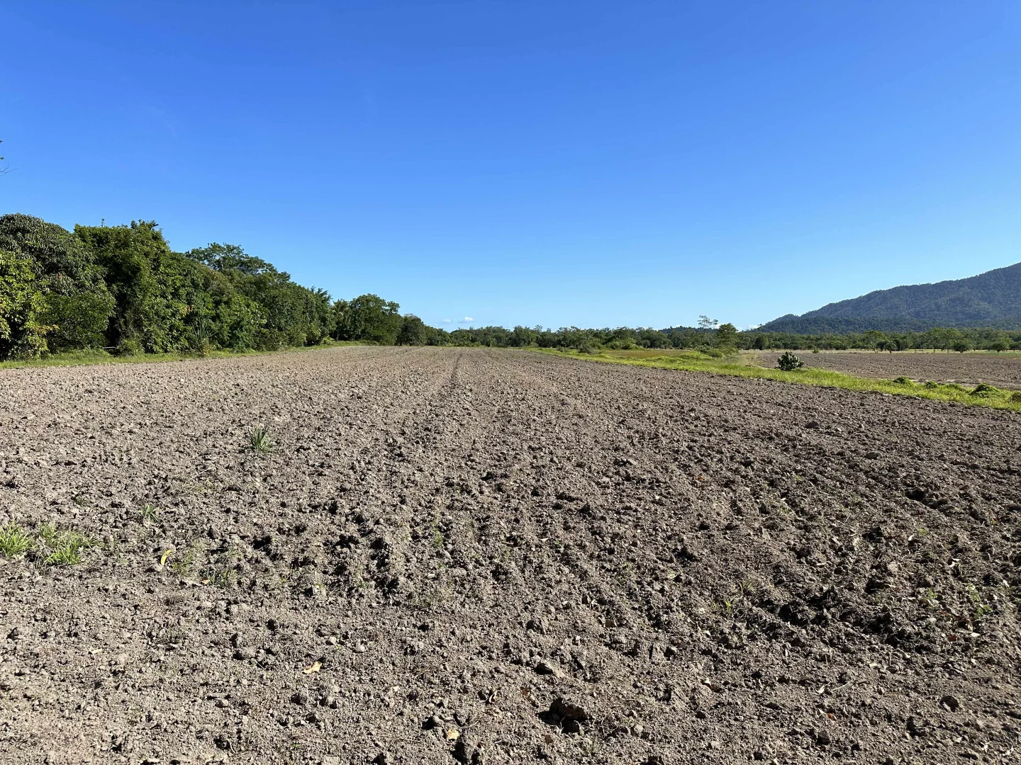 Additional image 33 of East Feluga QLD 4854