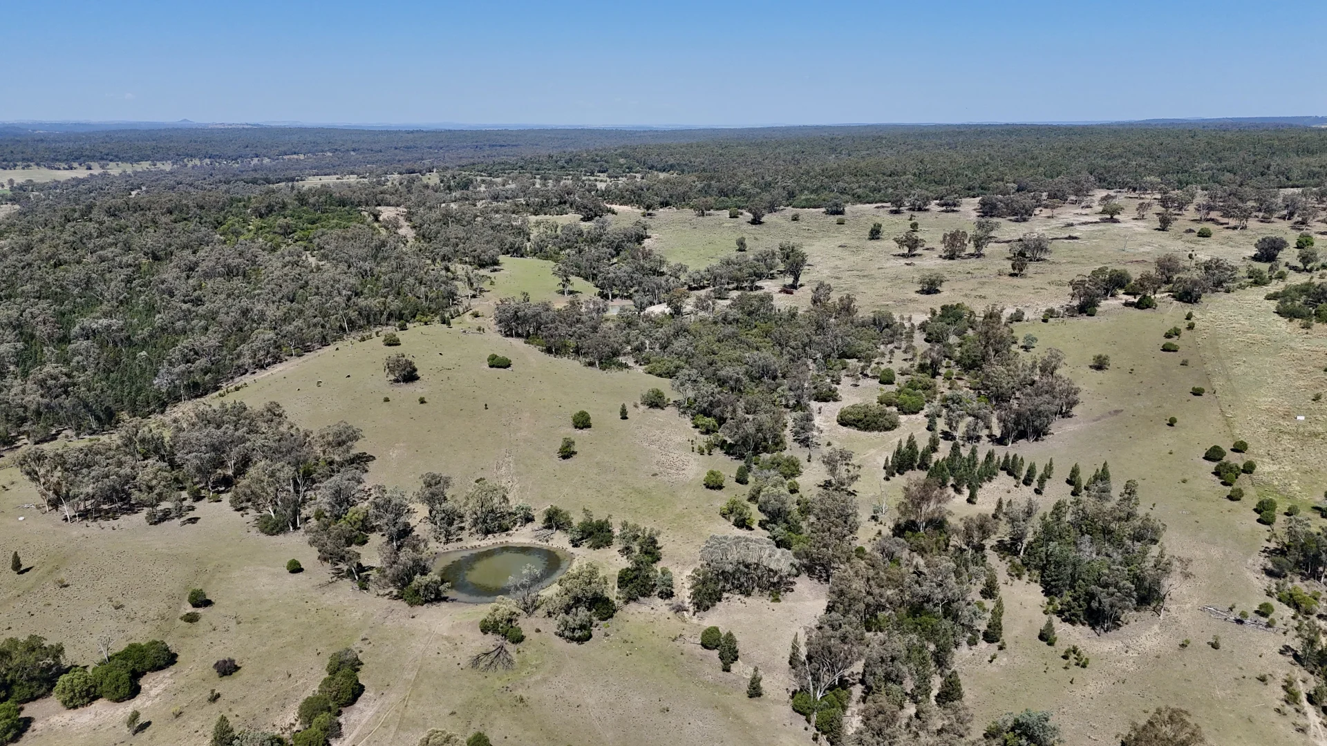 Additional image 11 of "Calamity"/1385 Mosquito Creek Road, Warialda NSW 2402