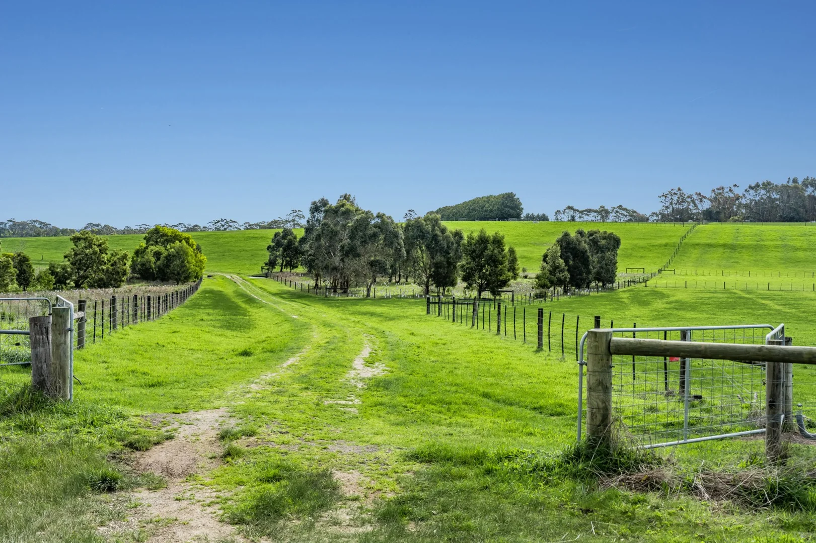 Additional image 5 of 60 Pennyroyal Valley Road, Deans Marsh VIC 3235