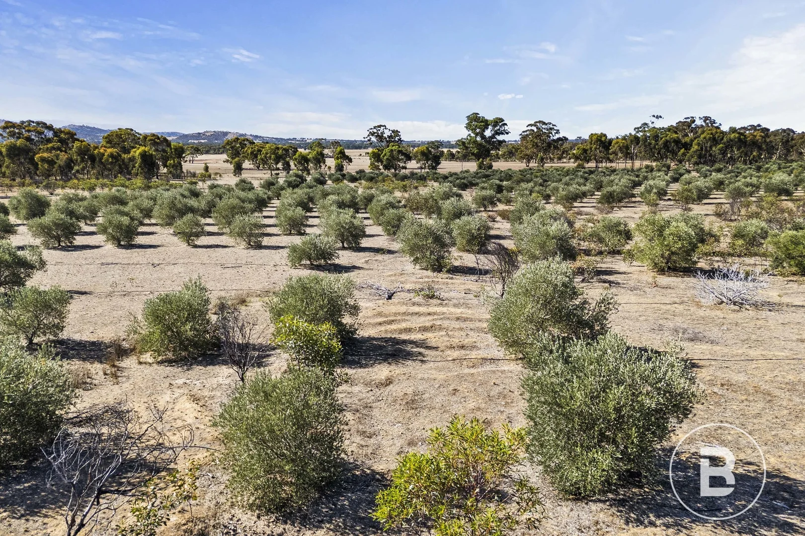 Additional image 6 of 3320 Ararat - St Arnaud Road, Navarre VIC 3384