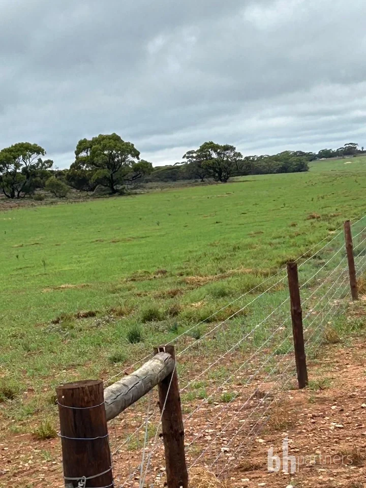 Additional image 11 of 7000 Hunter Road, Bowhill SA 5238