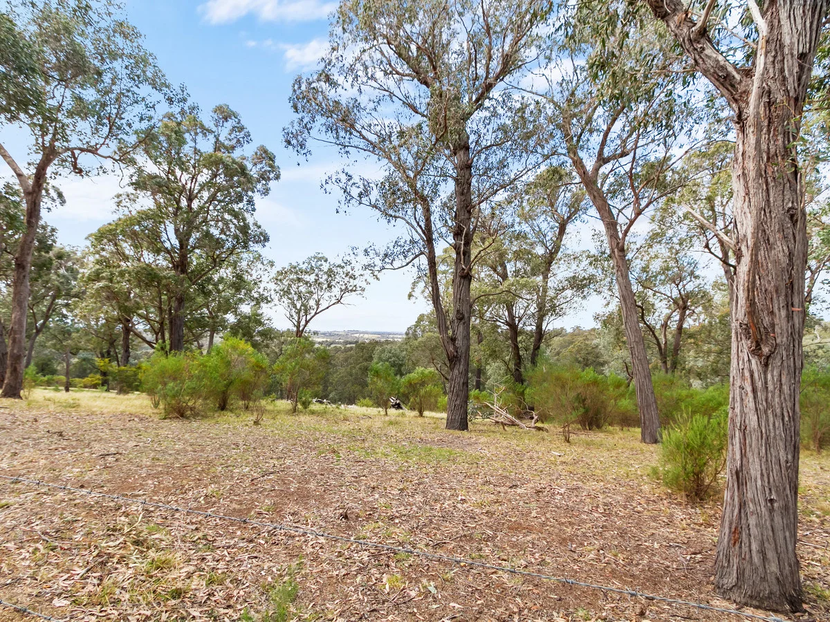 Additional image 26 of 259 Millers Road, Maffra West Upper VIC 3859