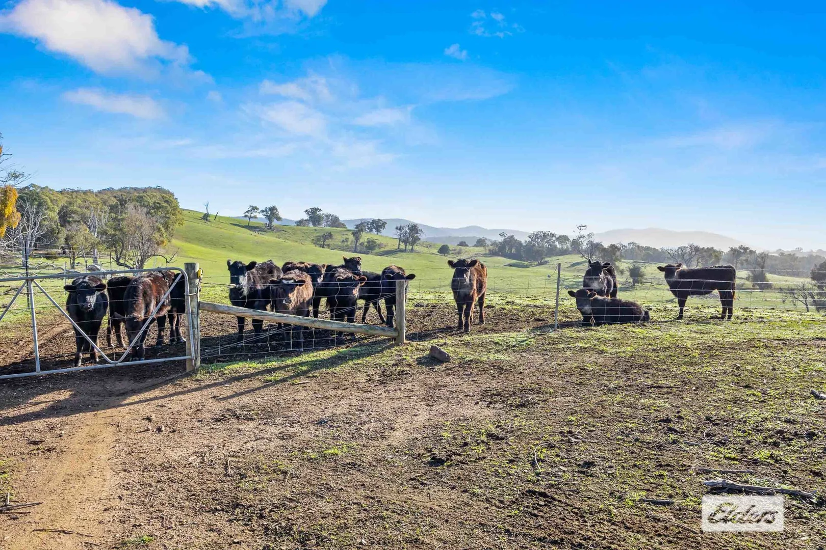 Additional image 4 of CA 111-115 Pyrenees Highway, Amphitheatre VIC 3468