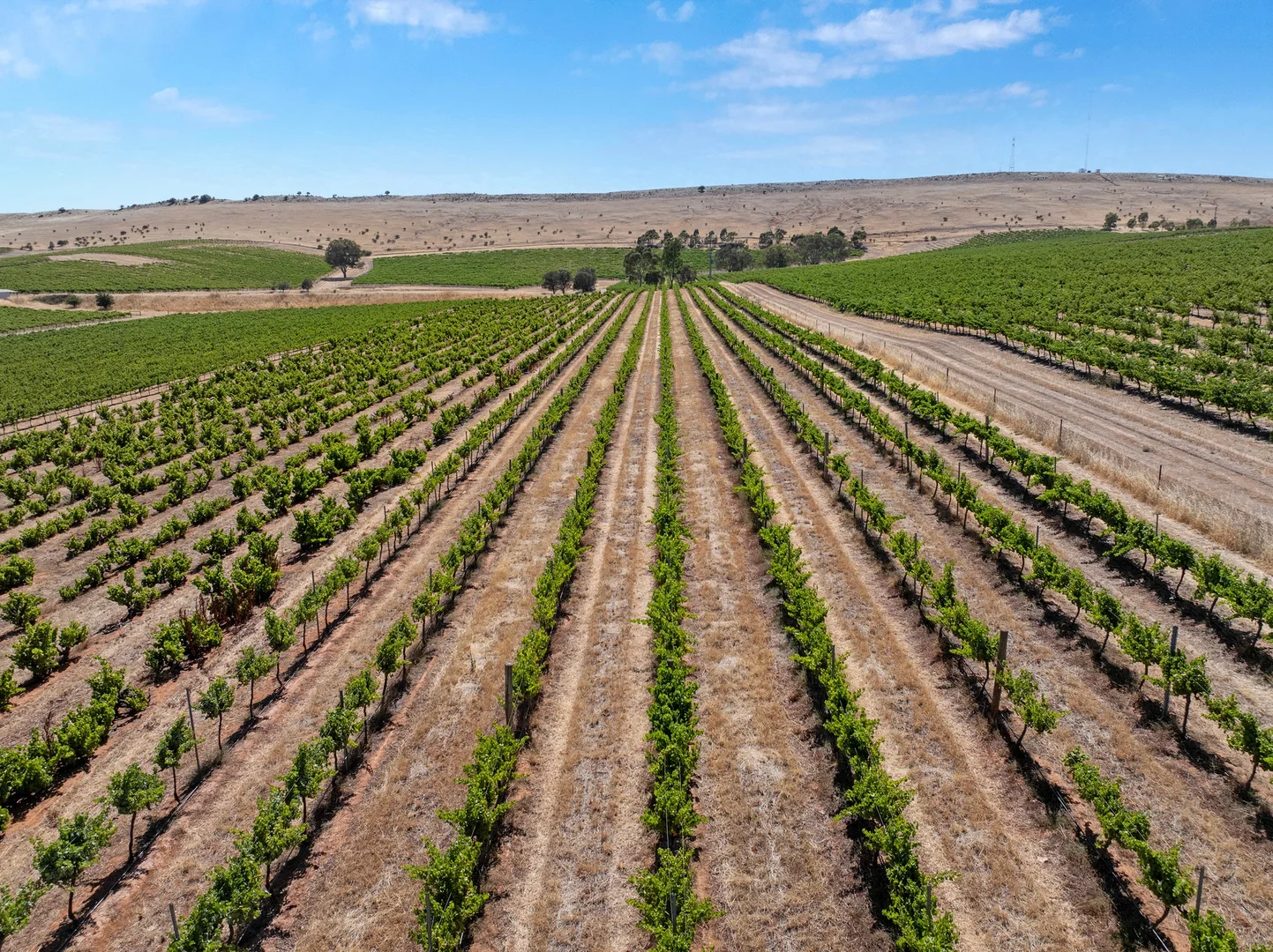 Additional image 23 of Lot 20 Spring Farm Road, Spring Farm SA 5453