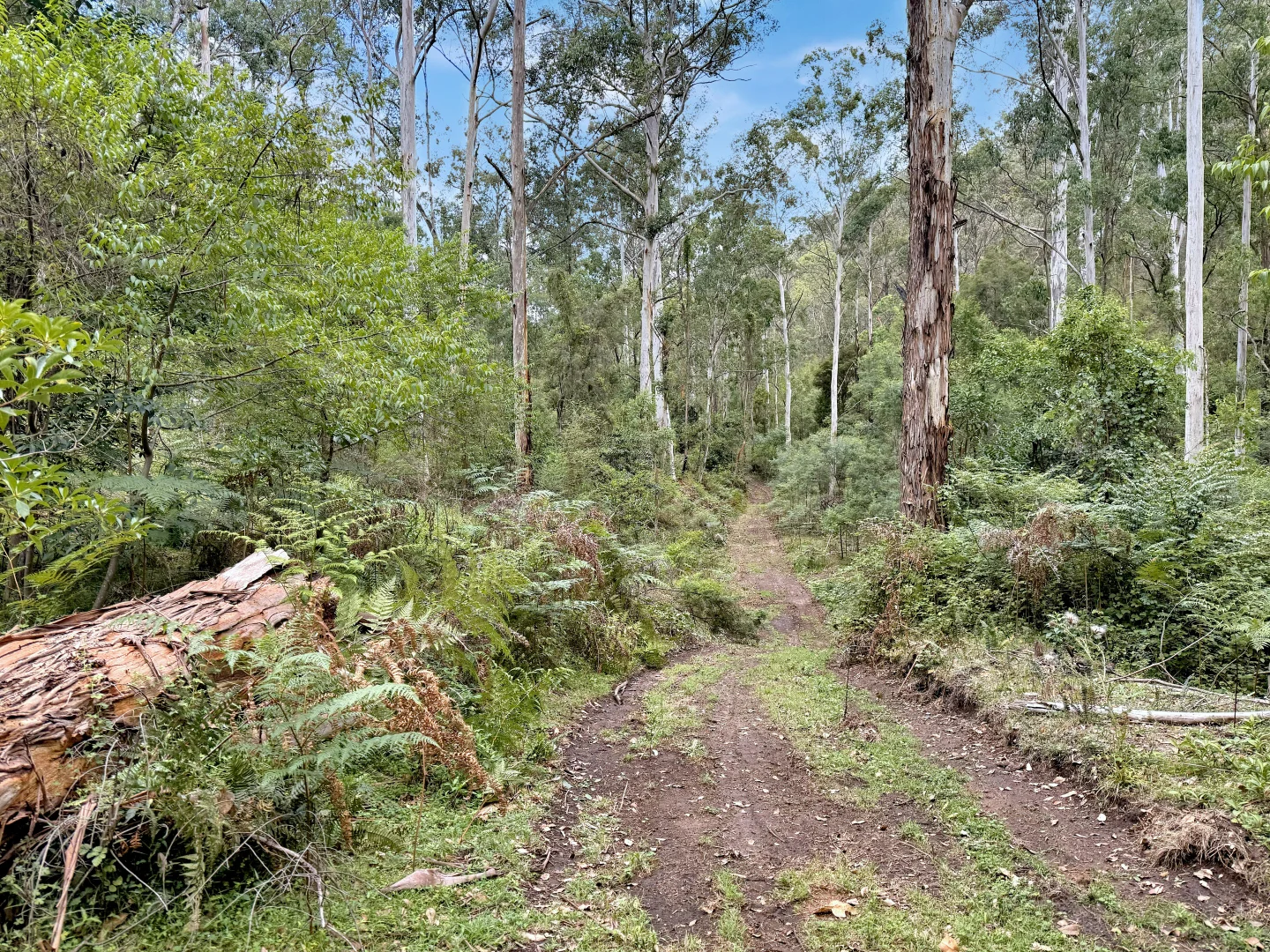 Additional image 13 of 946 Stockyard Creek Road, Paynes Crossing NSW 2325