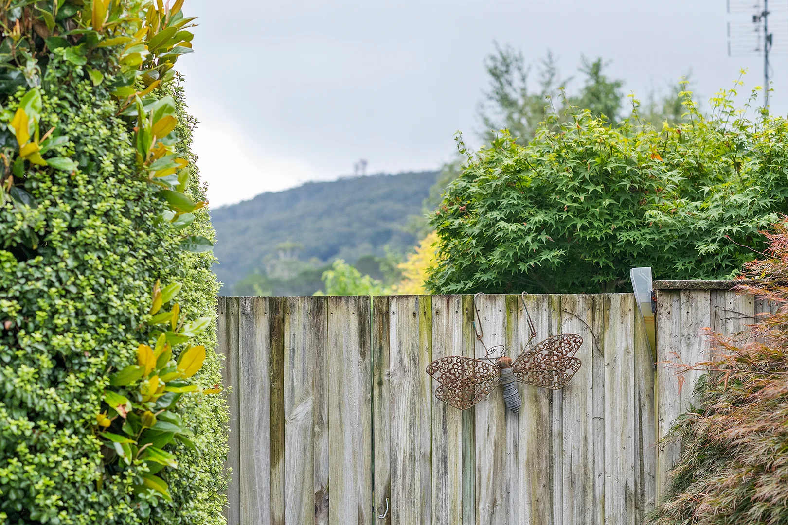 Additional image 16 of 2/36 Shepherd Street, Bowral NSW 2576