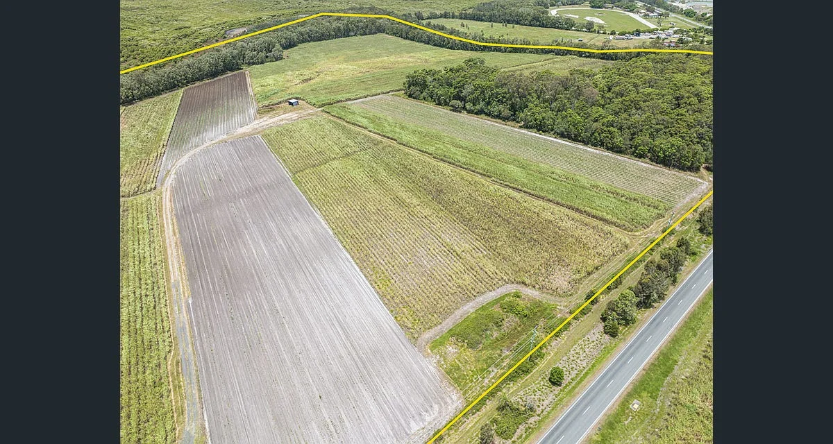 Additional image 3 of 1587 Stapylton Jacobs Well Road, Jacobs Well QLD 4208